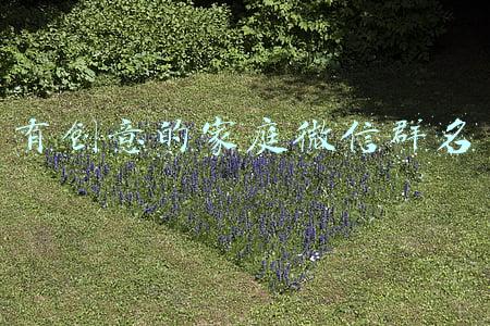 有创意的家庭微信群名
