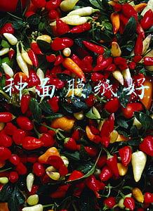 哪种面膜纸好用