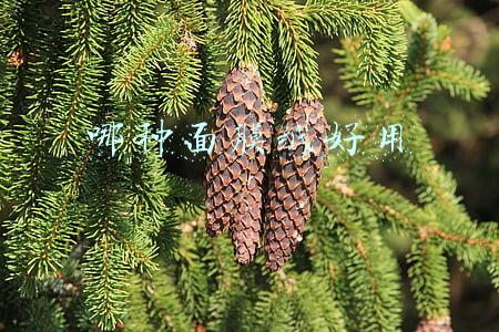 哪种面膜纸好用