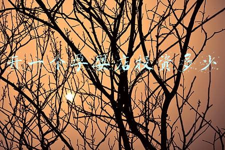 开个孕婴店需要投资多少钱，开母婴店需要多少钱?