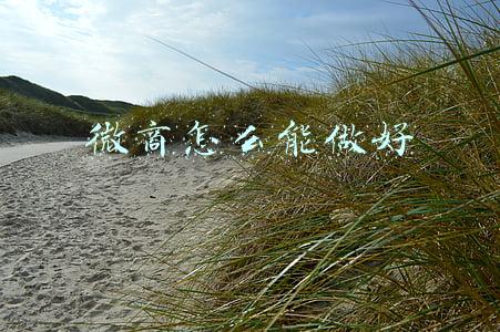 微商怎么能做好