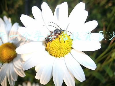 开个孕婴店大概需要多少钱（开一个孕婴店需要多少钱）