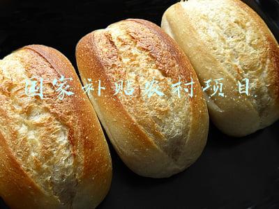 国家补贴农村项目