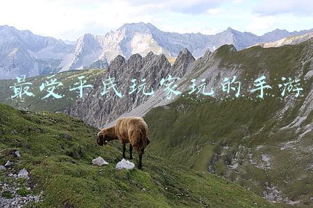 最受平民玩家玩的手游