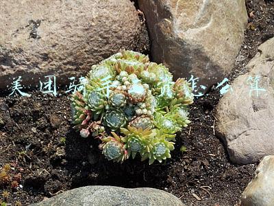 美团骑手工资怎么算 美团骑手工资怎么算