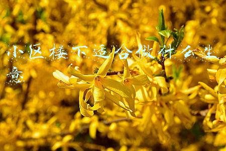 小区楼下适合做什么生意