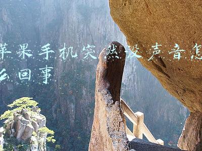 苹果手机突然没声音怎么回事