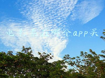 电影票在哪个app买