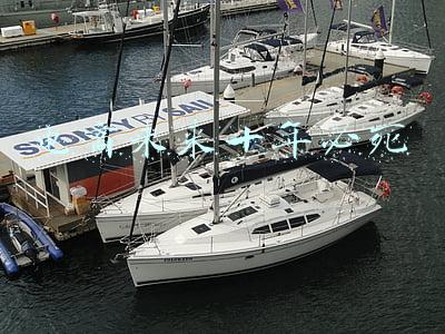 电商未来十年必死