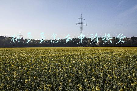 拼多多怎么申请换货运费(拼多多运营退换货有什么最新规则？)
