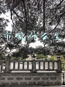 集市做什么生意