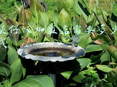 加盟煲仔饭一般多少钱(开一家煲仔饭加盟店大概需要多少钱，能不能给个预算？)