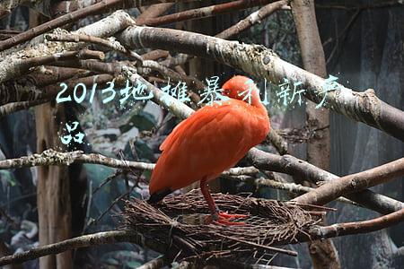 2013地摊暴利新产品