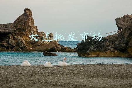 大连批发市场地址查询(大连又多了一个批发市场！就在……)