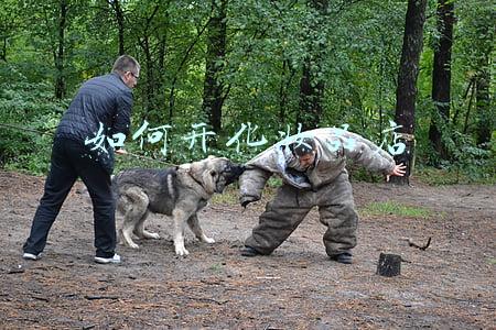 如何开化妆品店
