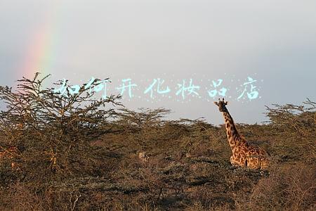 如何开化妆品店