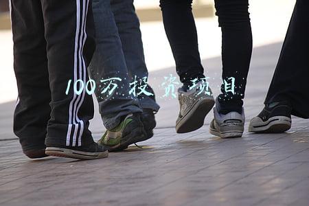 100万投资项目