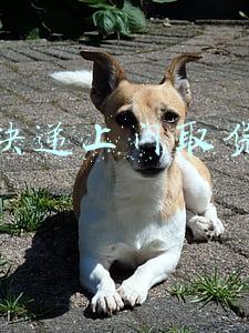快递上门取货