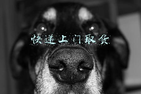 快递上门取货