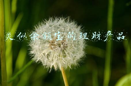 类似余额宝的理财产品