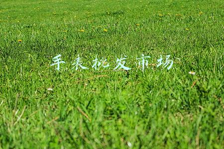手表批发市场