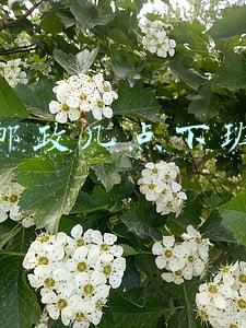 邮政几点下班时间(邮局，邮局)