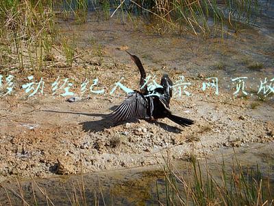 移动经纪人网页登录入口(58同城、安居客：升级“移动经纪人”业务功能 助力经纪人高效服务)