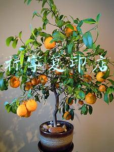 打字复印店附近(附近的打印店在哪里呀？深圳24小时复印打印店)