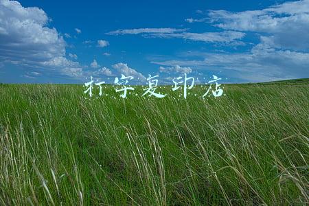 打字复印店经营范围(图文广告经营范围)