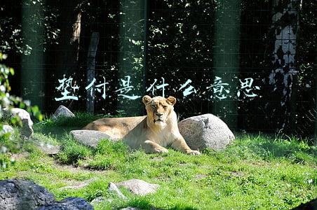 垫付是什么意思