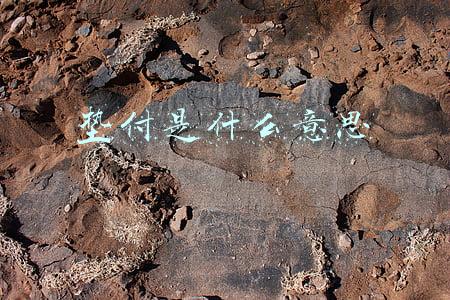 垫付是什么意思