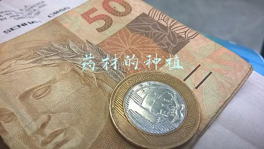 药材的种植