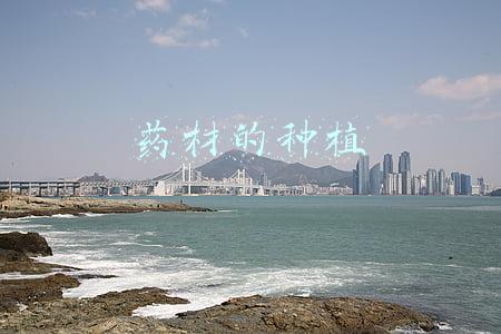 药材的种植