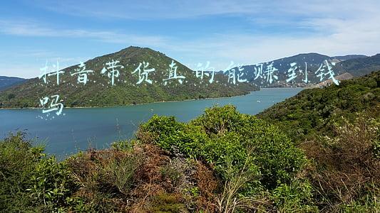 抖音带货真的能赚到钱吗