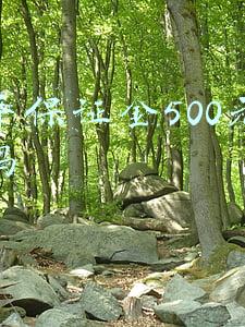 快手保证金500元能退吗
