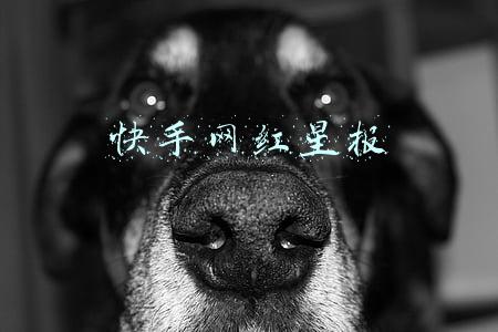 快手网红八卦新闻(3400万粉丝 VS 450万粉丝，快手网红主播“互撕”，法院判了……)