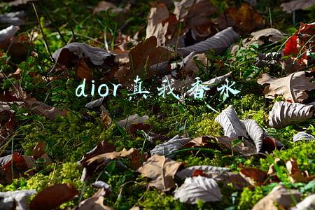 dior真我香水
