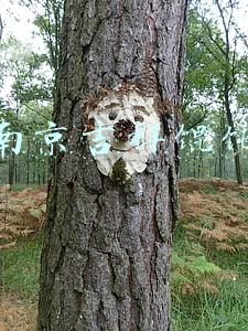 南京吉祥馄饨