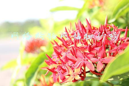 网络购物网站排行榜