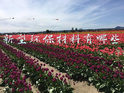 新型环保材料有哪些