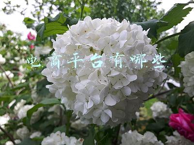 跨境电商平台有哪些(新卖家必看！跨境电商主流平台及新兴平台介绍)