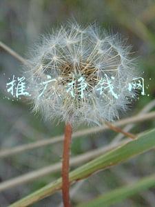 推广挣钱网