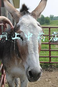 网上中药店靠谱吗(网上买药靠谱吗)