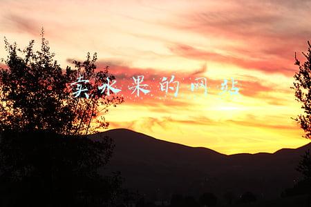 水果网站(多地发现进口火龙果等核酸阳性 提醒：尽量避免自行网购进口水果)