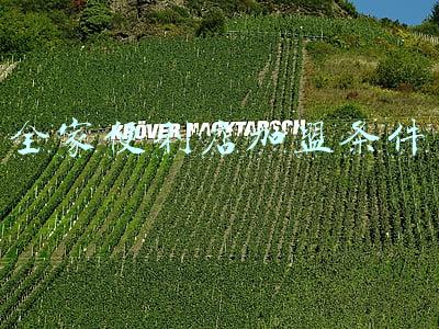 全家便利店加盟条件