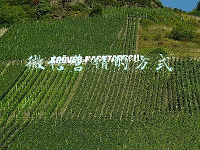 微信营销的方式