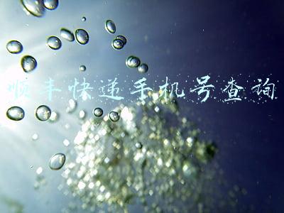 顺丰快递手机号查询