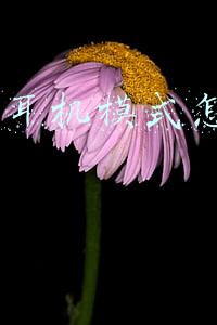 苹果6耳机模式怎么取消