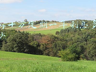 存十万定期一年利息多少 存十万定期一年利息多少