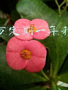 存十万定期一年利息多少 存十万定期一年利息多少